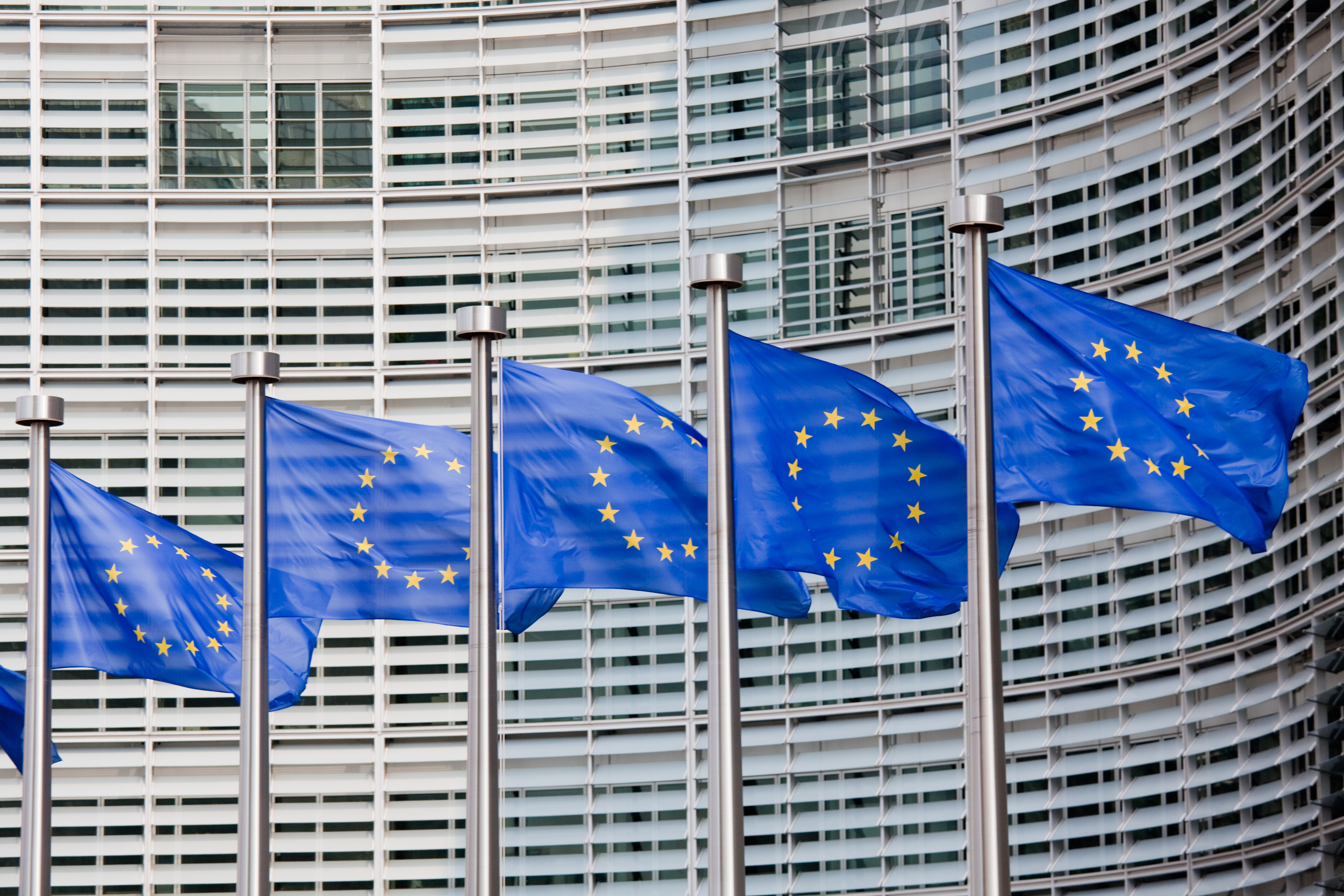 EU Flags